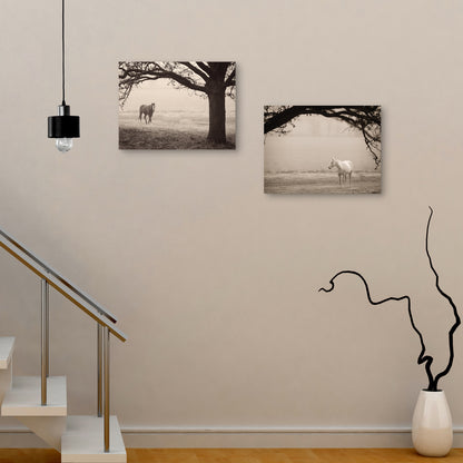 Caballo brumoso I - Debra Van Swearingen