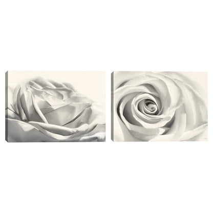 Rosa III - Lori Deiter