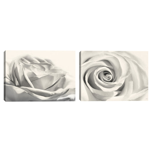 Rosa III - Lori Deiter