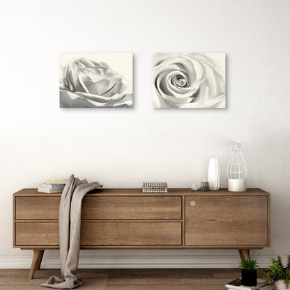 Rosa III - Lori Deiter