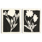 Primavera alegre II Negro - Moira Hershey