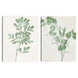 Naturaleza Verde II - Danielle Carson