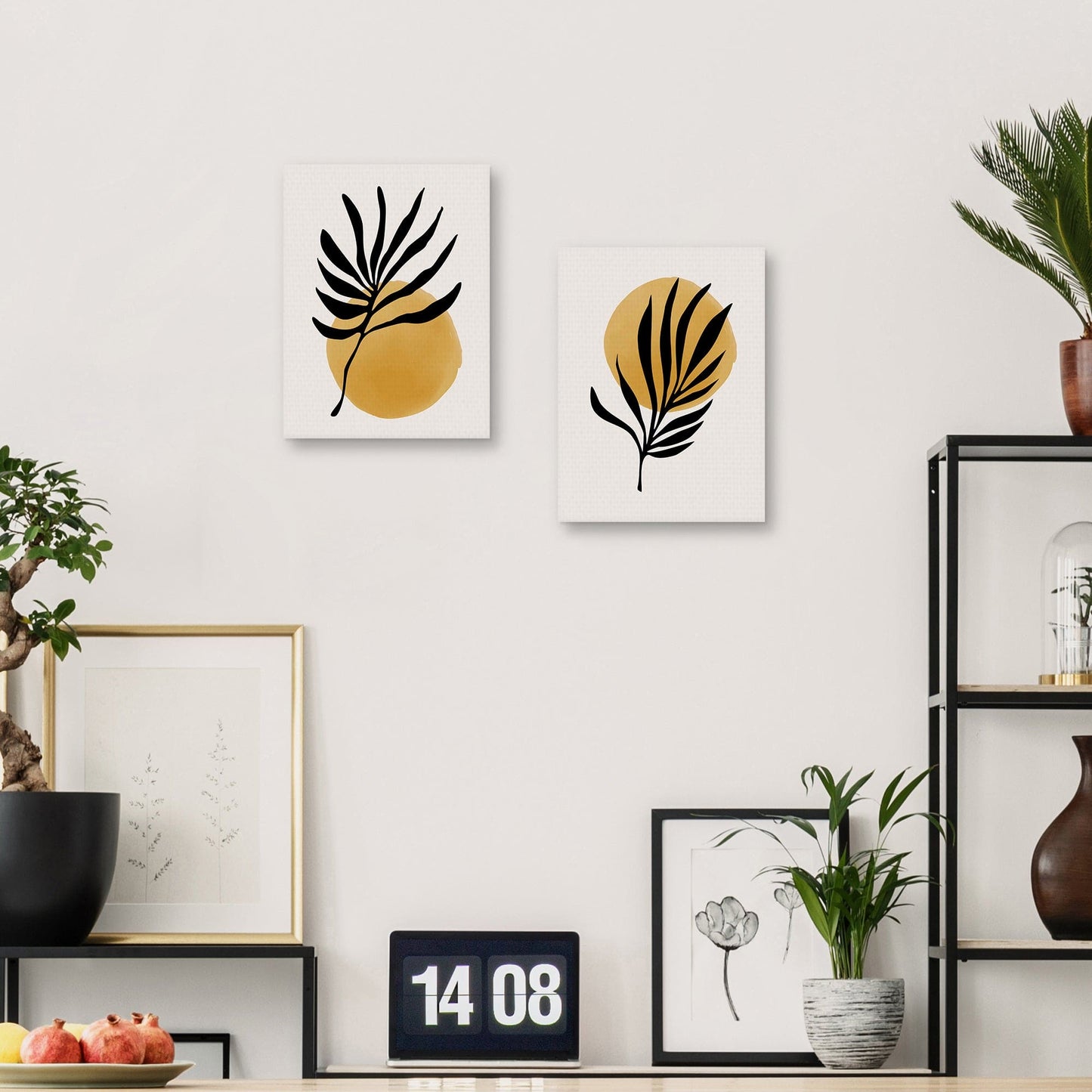 Planta Jazzy Jungle Sun - DP Gallery