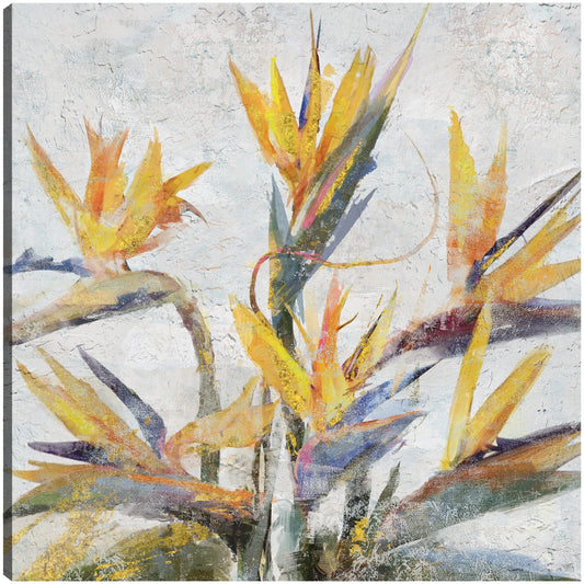 Ave del Paraiso - Studio Arts