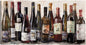 Vinología - Studio Arts