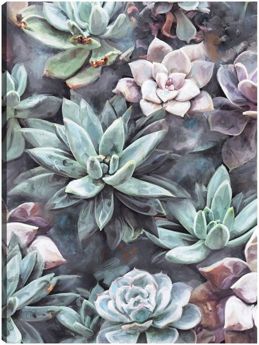 Suculentas en gris - Studio Arts