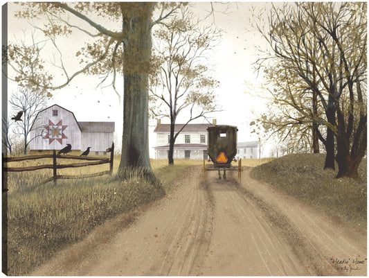 Rumbo a casa - Billy Jacobs