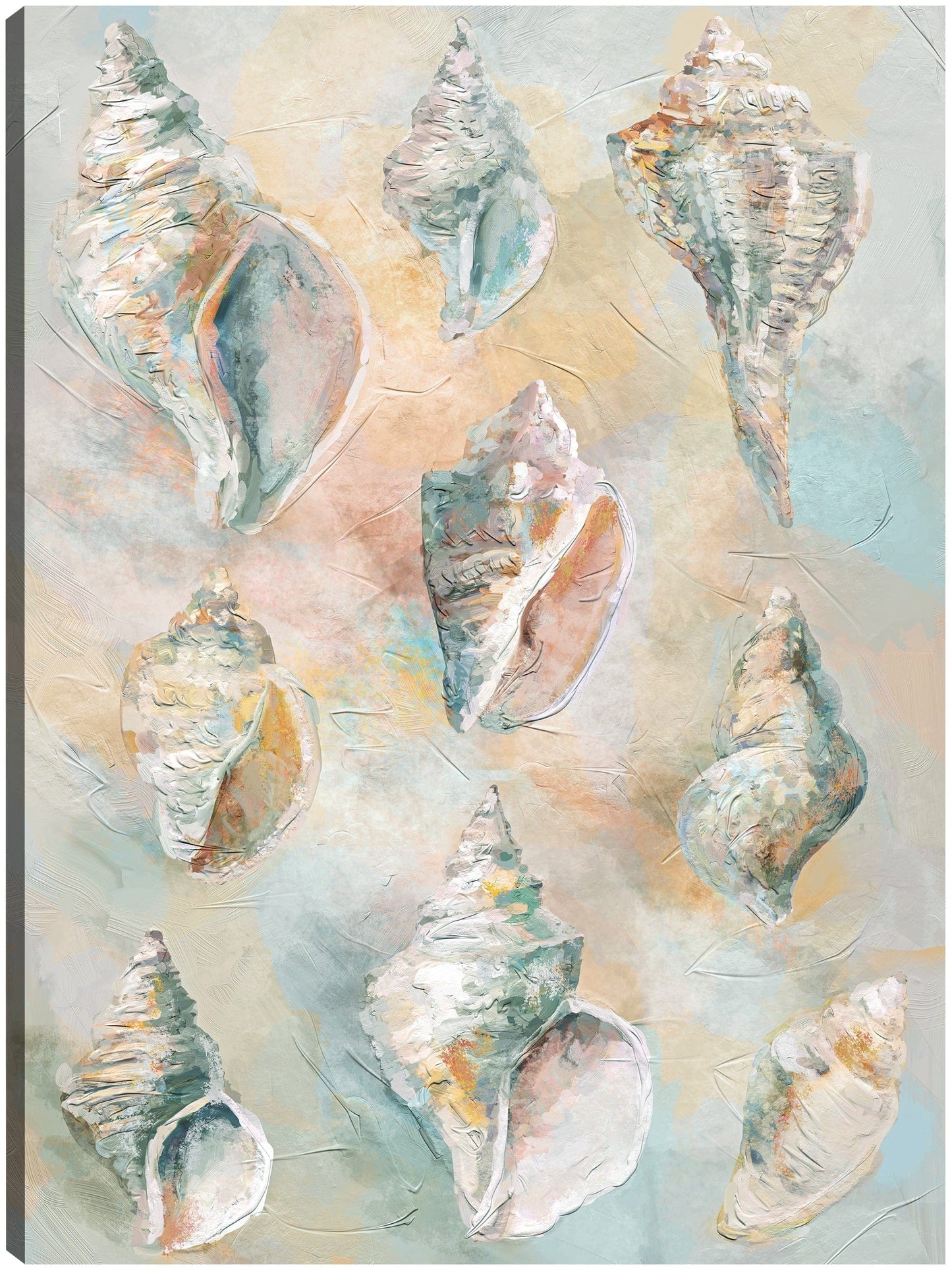 Conchas de tulipan - Studio Arts