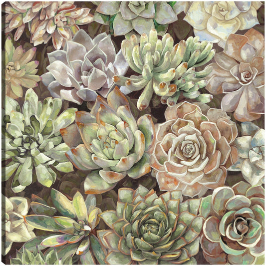 Jardin del desierto - Studio Arts