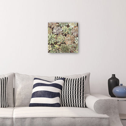 Jardin del desierto - Studio Arts