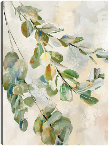 Cultivo Eucalipto II - Studio Arts