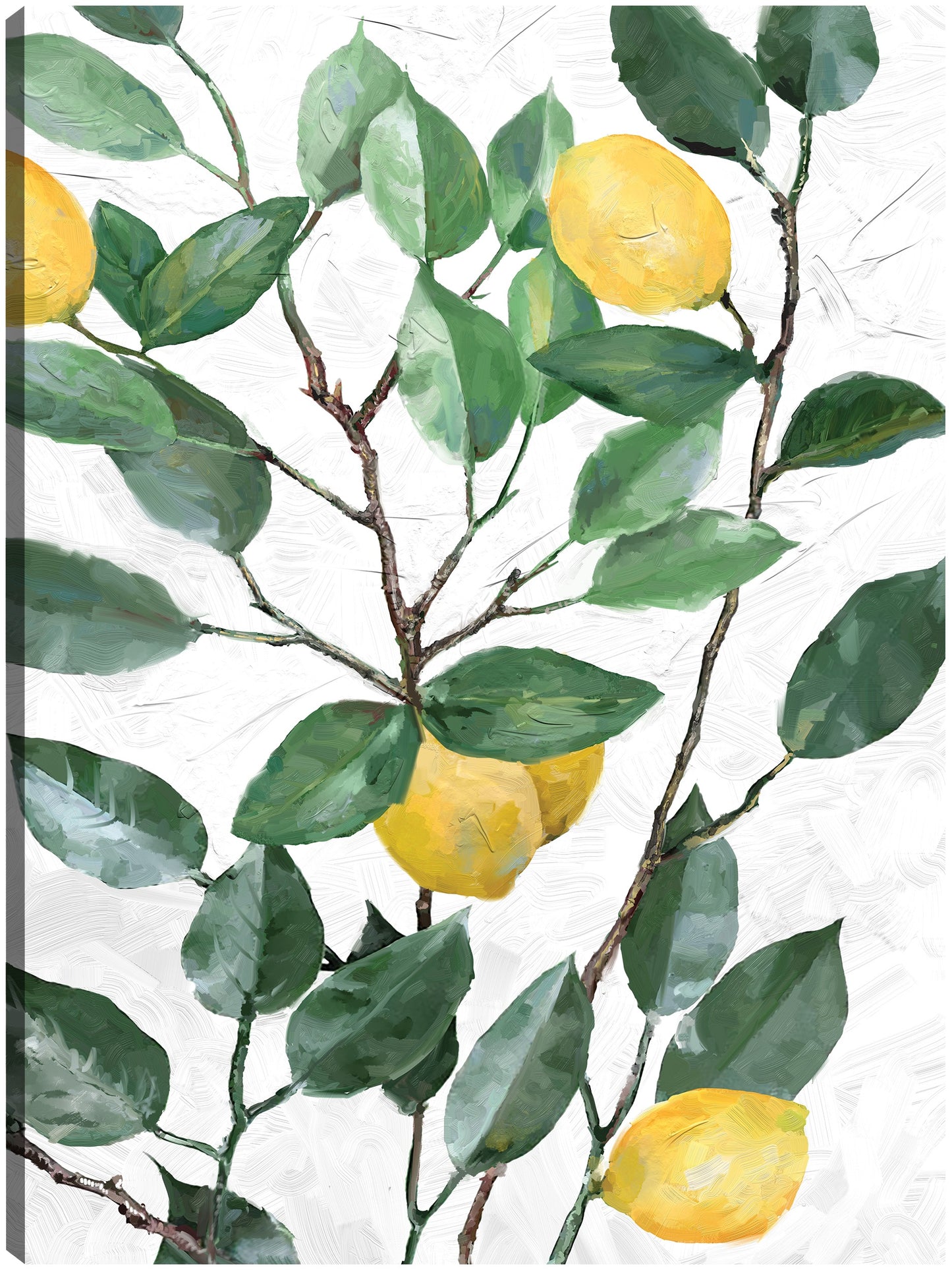 Limonero - Studio Arts