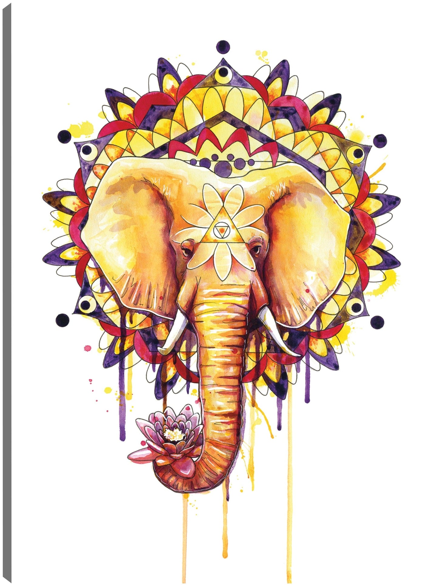 Mandala de elefante - Sam Nagel