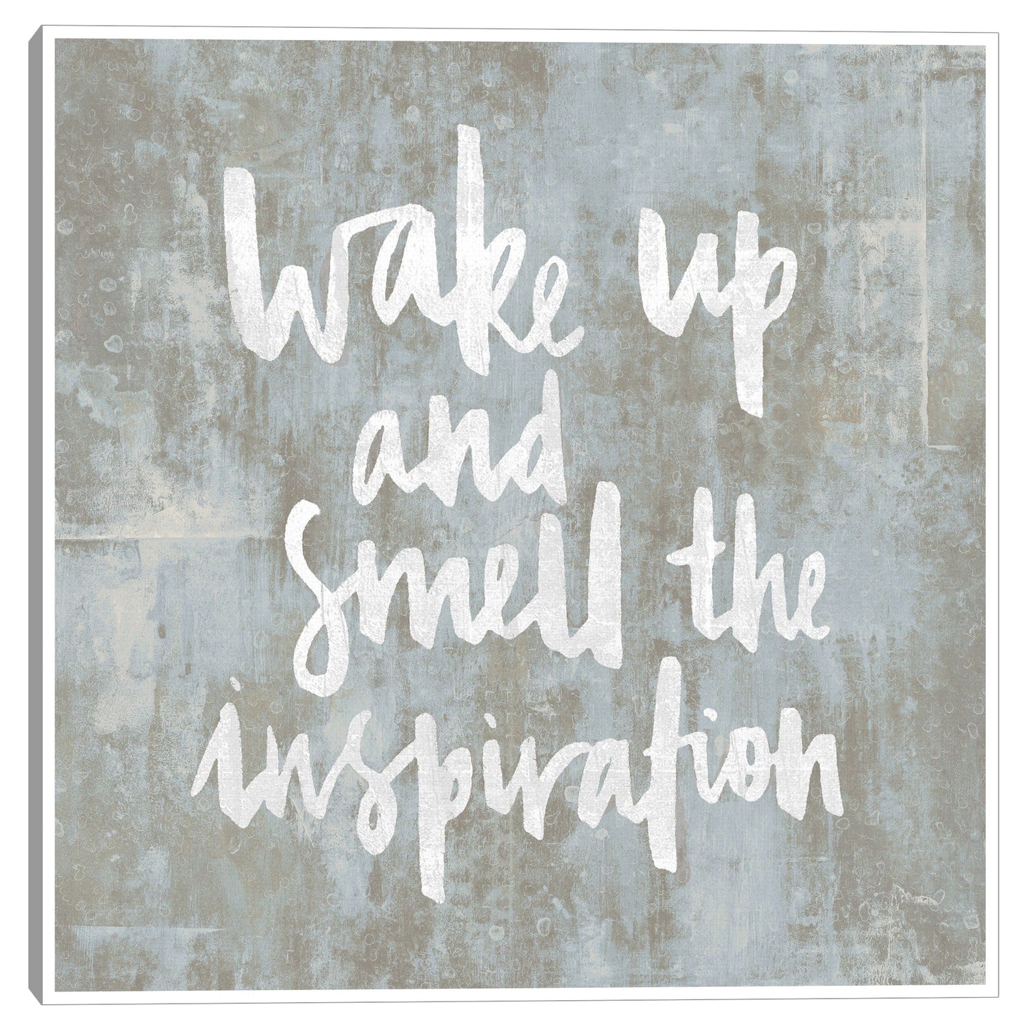 Despertar - Jamie MacDowell