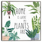 Hogar de la planta II - Farida Zaman