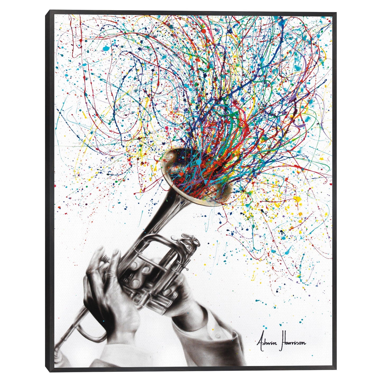 Alma del sonido - Ashvin Harrison