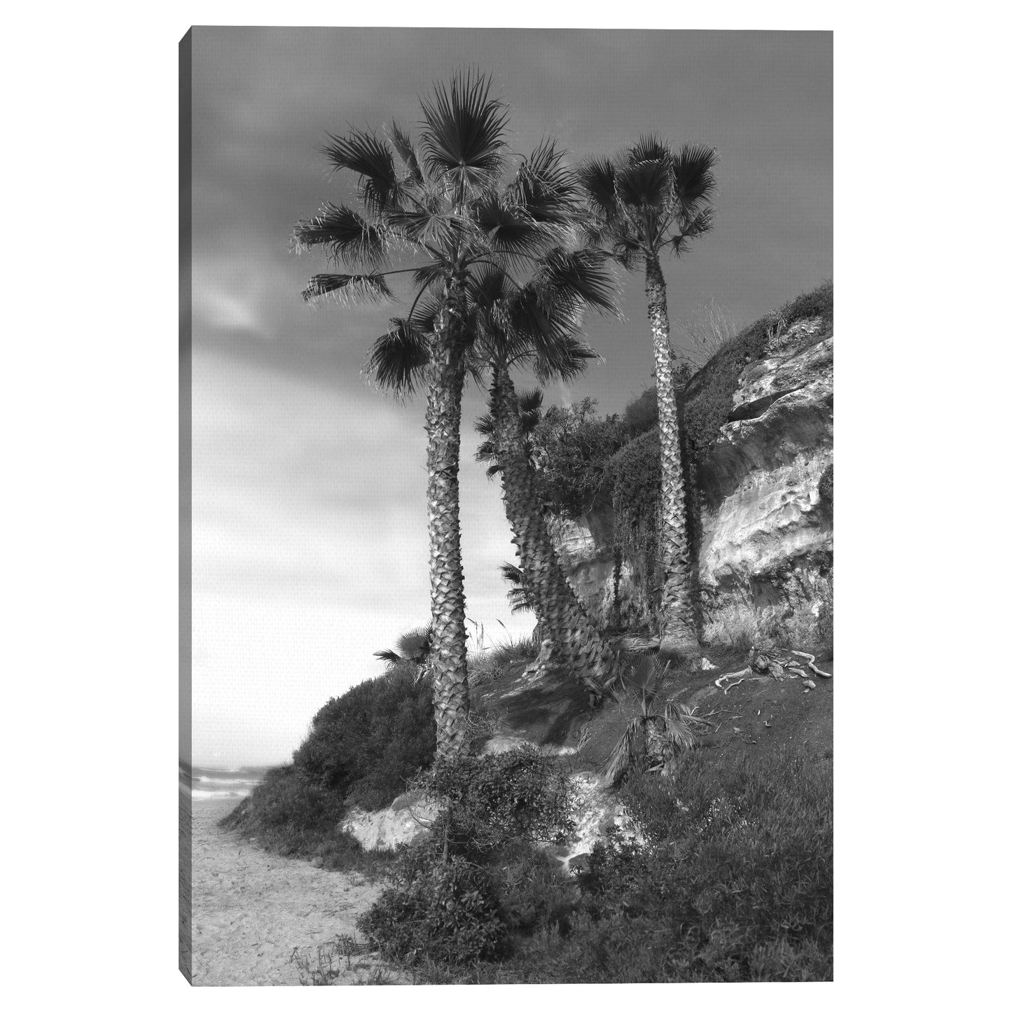 Palmeras de playa - Mark Timothy