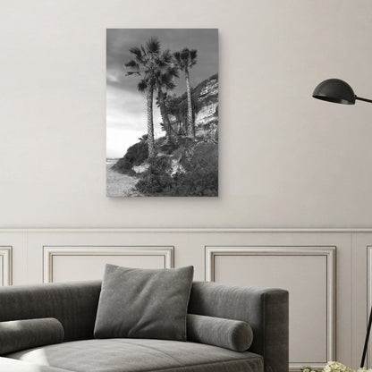Palmeras de playa - Mark Timothy