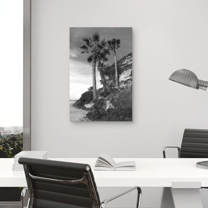 Palmeras de playa - Mark Timothy