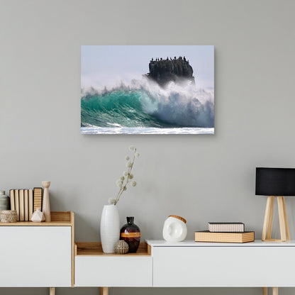Bahía de la Media Luna - Mark Timothy